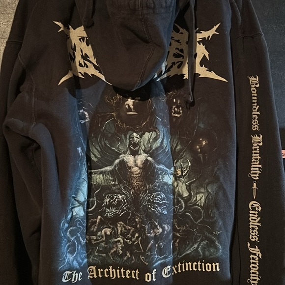 Ingested zip up hoodie (2015 -?) - Picture 2 of 7